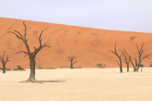 絶景！ナミブ砂漠、デッドフレイなどのナミビア定番観光スポット6選【海外観光情報】
